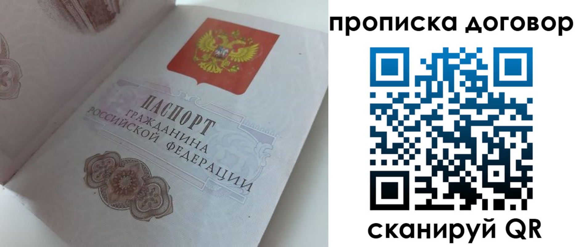 прописка поиск в Чечне